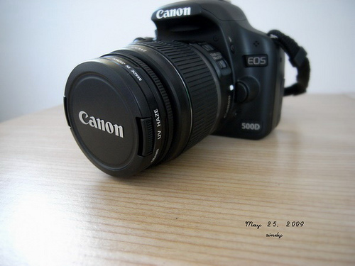 Canon EOS 500D (Flickr by sindykids)
